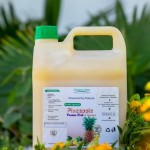 pineapple & ginger mix(with passion fruit)